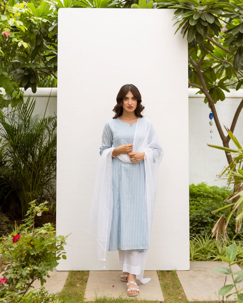 Powder blue Cotton Round neck Kurta for women's