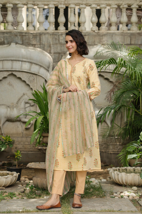 Aahana Multistripes Handblock Kurta Dupatta Set(Pant Not included)