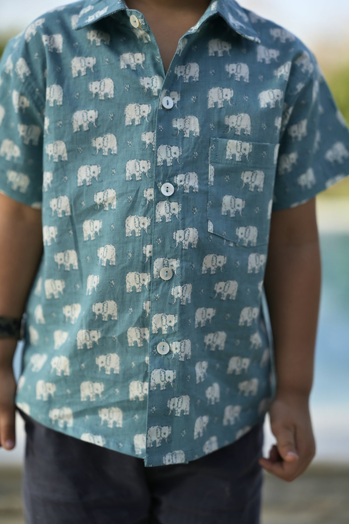 Light Blue Cotton Printed Shirt For Boys