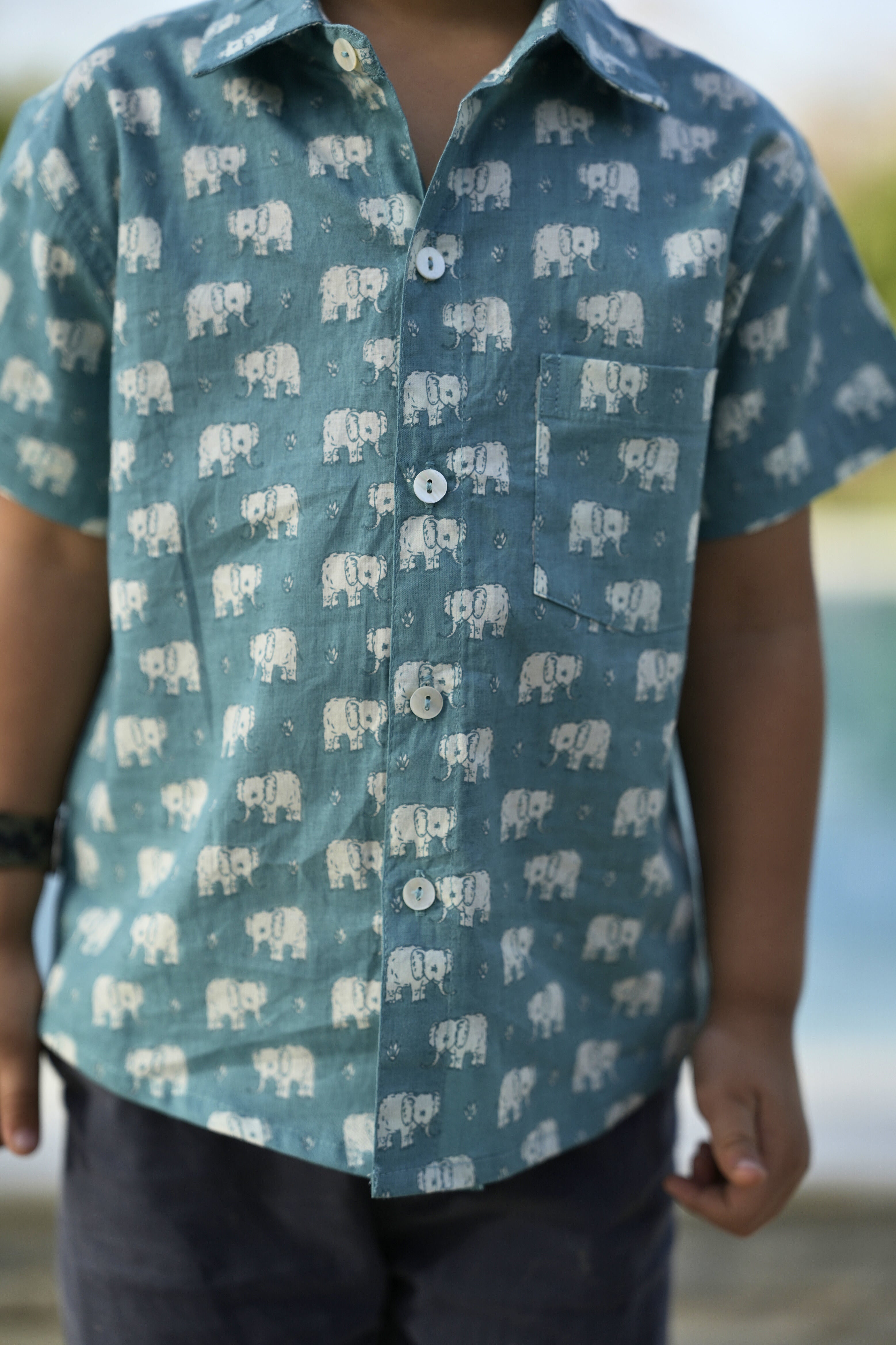 Light Blue Cotton Printed Shirt For Boys