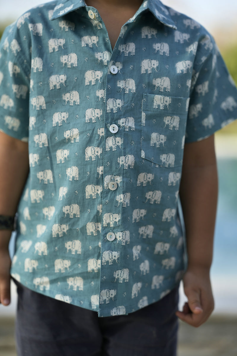 Light Blue Cotton Printed Shirt For Boys