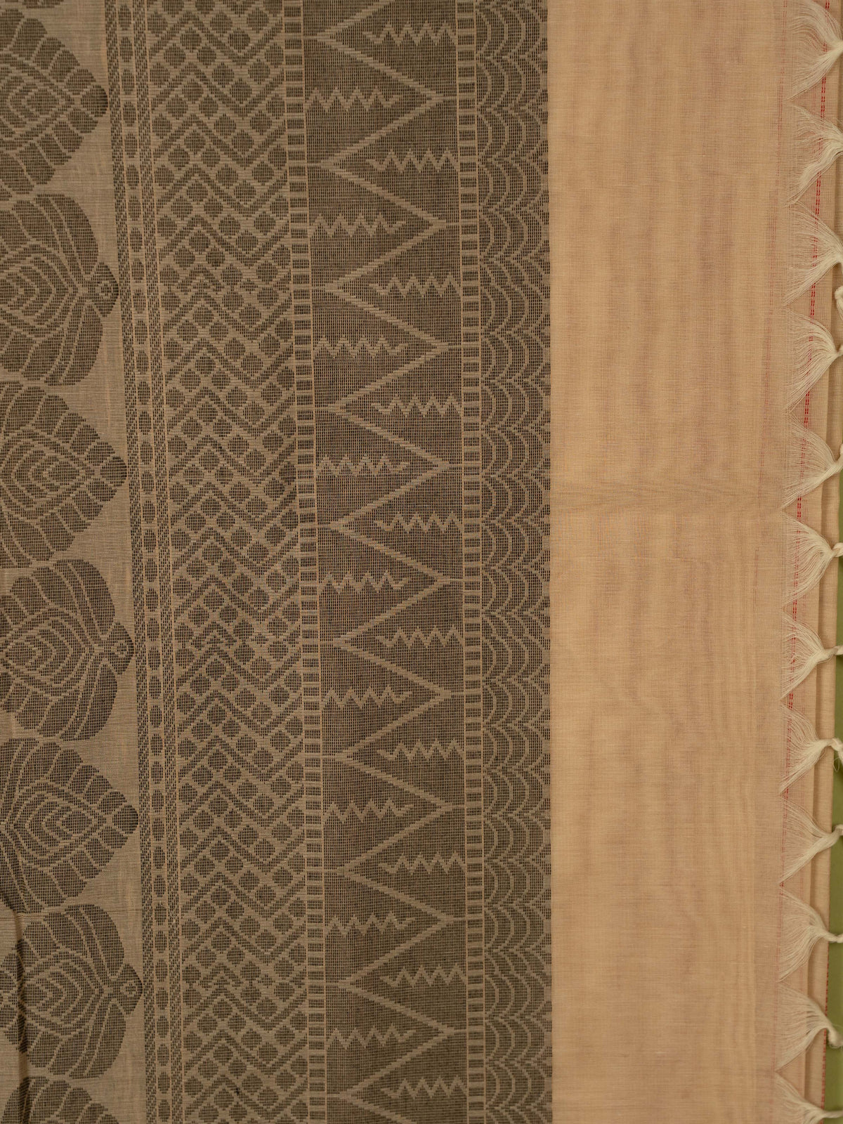 Beige Colour Cotton Handloom Self Weaned Saree