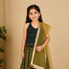 Olive Green Crop Top Skirt Dupatta