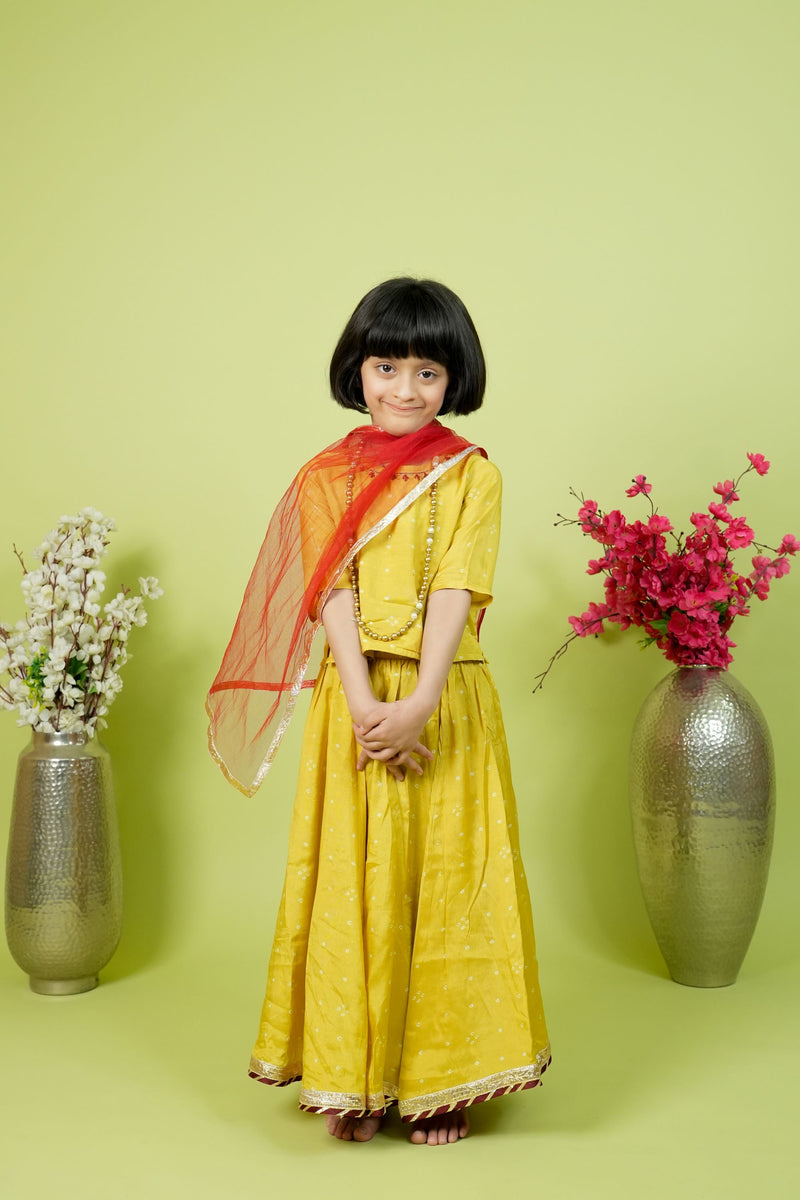 Girls blouse skirt Dupatta Set