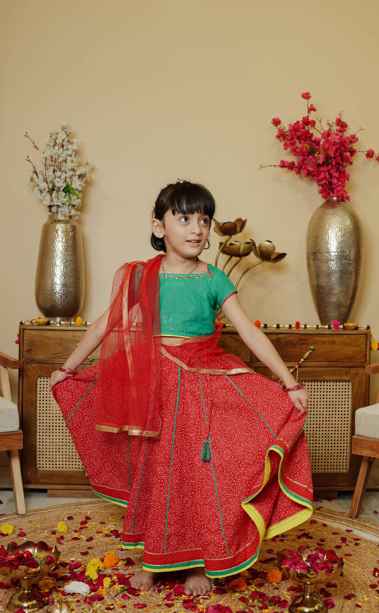 Cotton Lehanga Choli Set For Girls