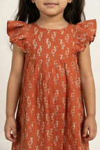 Rust Red Frock