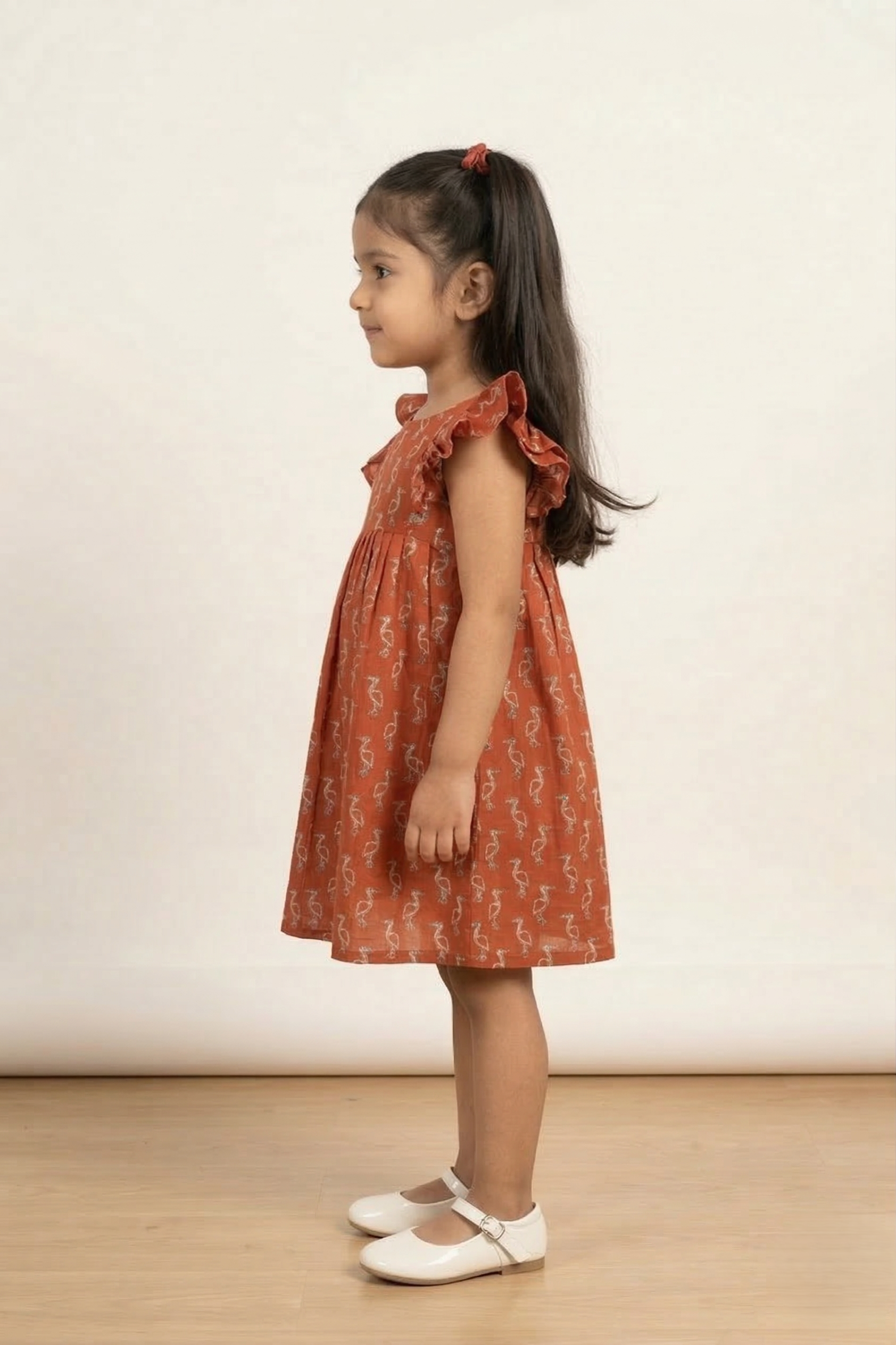 Rust Red Frock