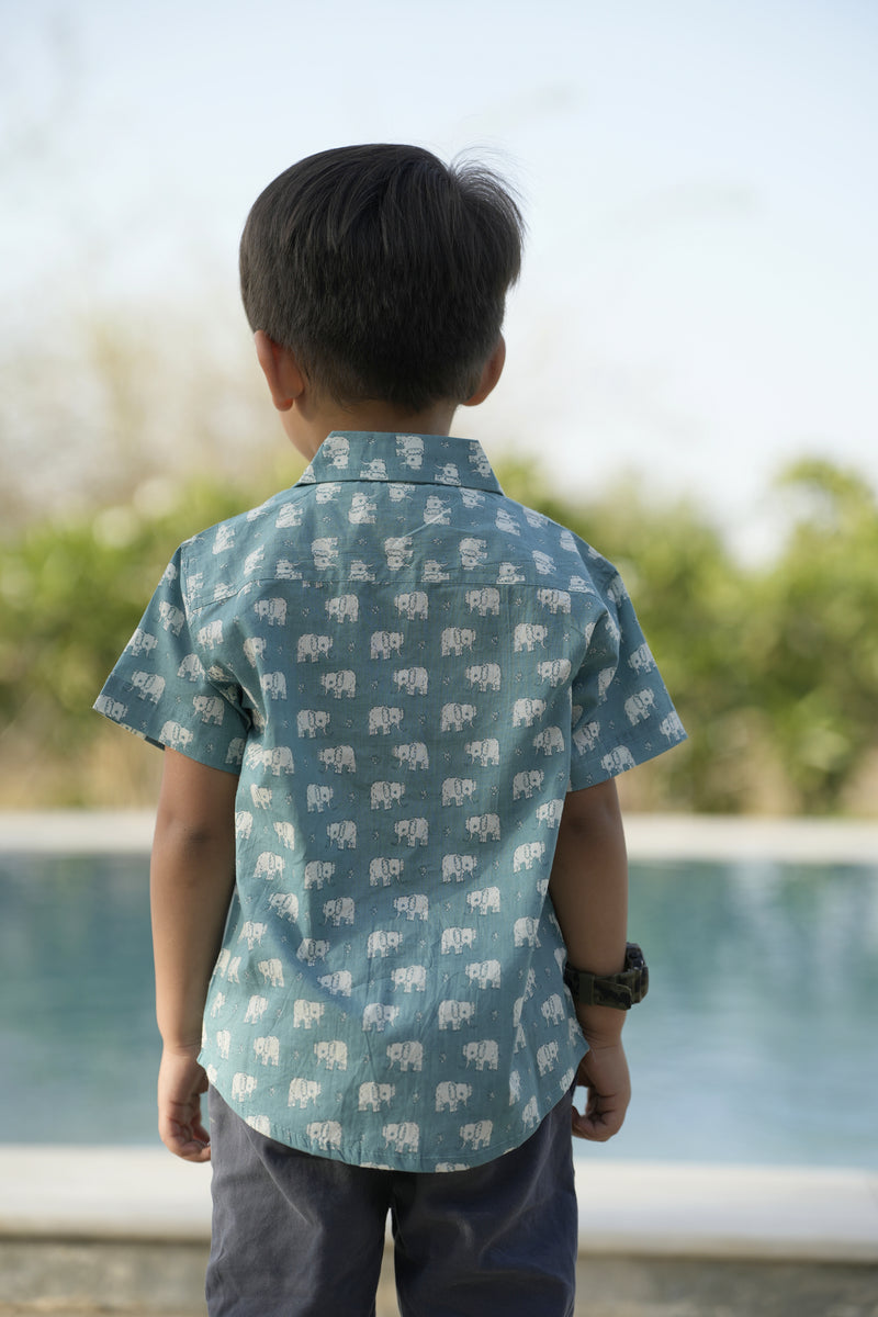 Light Blue Cotton Printed Shirt For Boys